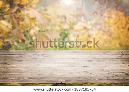 wooden table and blurred autumn background. Autumn, nature concept. copy space. 
