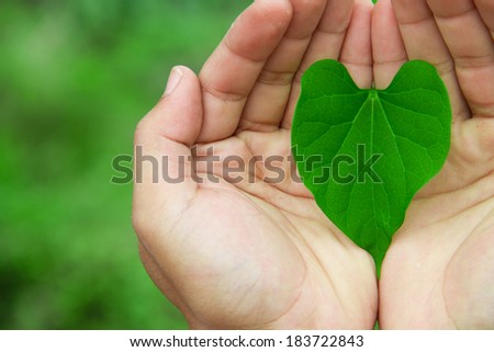 human hands holding a leaf shaped heart on nature background