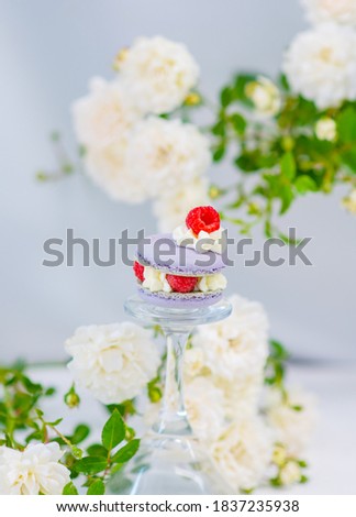 A purple macaroon cake with fresh raspberries lies on a glass substrate against a background of rose flowers. Elongated panoramic image for banner