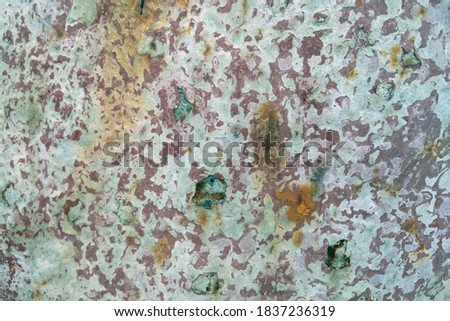A piece of metal with peeled paint and a rusty part. Background, texture. selective focus