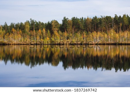 Autumn forest behind the lake. Trees are reflected in a calm water.