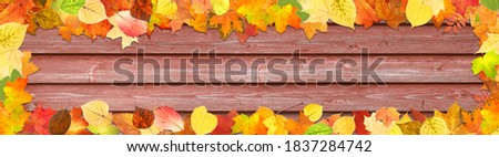 frames of colored autumn leaves on a wooden background