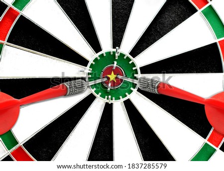 Close-up of a dart board with an imprinted flag of Vietnam in the center. The concept of achieving goals.