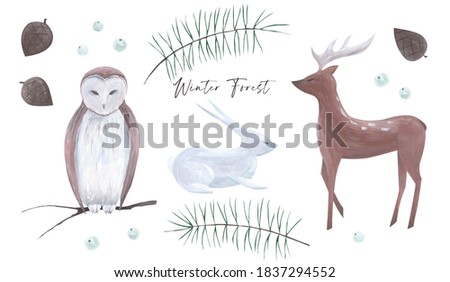 Winter Forest. Hand-drawn isolated illustrations set. Forest animals and plants.