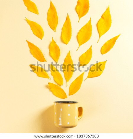 The mug and the fallen leaves on yellow background, the autumn concept.