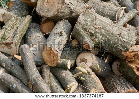 A Pile Of Dry Sawn Trees. Firewood For The Furnace Or Fireplace.