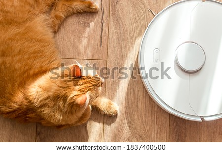 House cleaning without human. Smart home concept. Clean floor room. Cat sitting on robotic vacuum cleaner. White vacuum is working on the floor with calm pet sleeping on it. Clean floor.