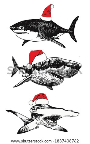 Graphical set of sharks in Santa Claus hat isolated on white background, vector new year illustration