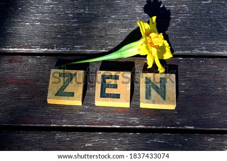 Letters forming the word ZEN on a wooden board
