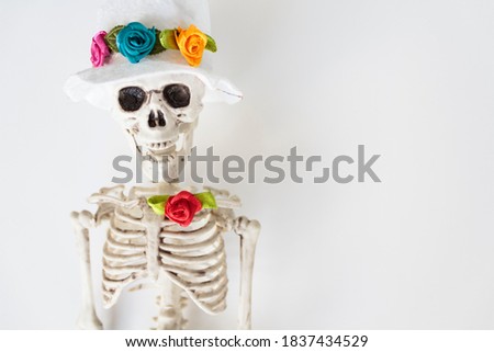 Funny skeleton with hat and colorful flowers on white background with copy space. Halloween and Dia de los muertos concept
