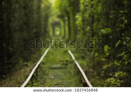 Natural tunnel of love formed by trees in Ukraine, Klevan. old railway in the beautiful tunnel in summer day. photo out of focus on the background.