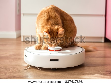 Funny cat. Ginger pet control robot vacuum cleaner. Smart animal. modern household wireless device for cleaning house. Smart home concept.