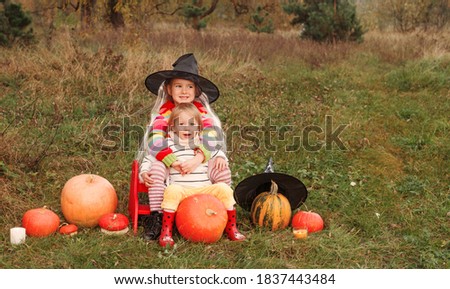 two little sisters are sitting in the middle of a field and hugging each other around a lot of big and small pumpkins.the theme of the Halloween.