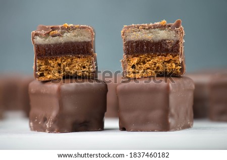 Domino stones, a german traditional christmas sweet with gingerbread, marzipan and jelly covered with brown chocolate, Dominosteine