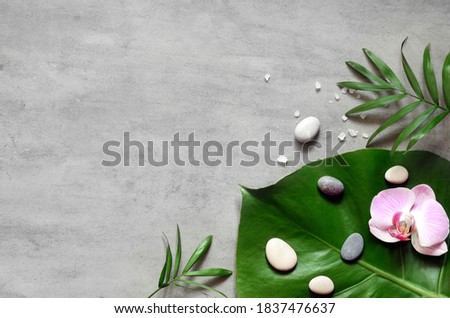 Flat lay composition with spa stones, palm leaf, orhid pink flowers and space for text on grey background.