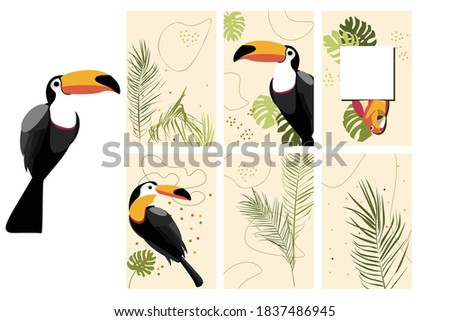 set of vector cards with tropical birds, doodles, palm leaves and monstera leaves. cool vector illustrations for the design of cards, posters, invitations