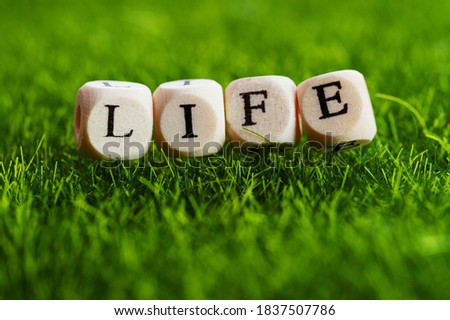 Four wooden cubes with the inscription Life on a green artificial lawn.