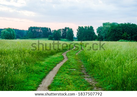 A road that passes through a meadow with high, thick grass. Path through the field,