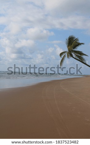 Sunny day in a Desert Beach in Brazil