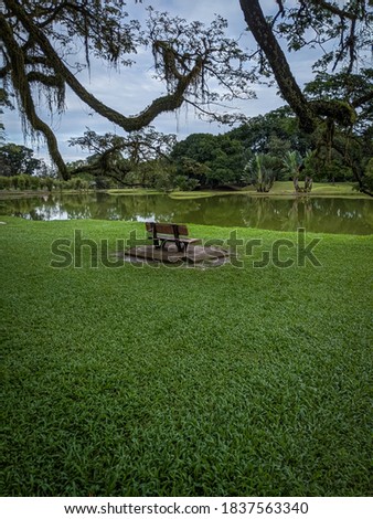View at Taiping Lake Garden in Malaysia. Selective focus or random focus and out of focus.