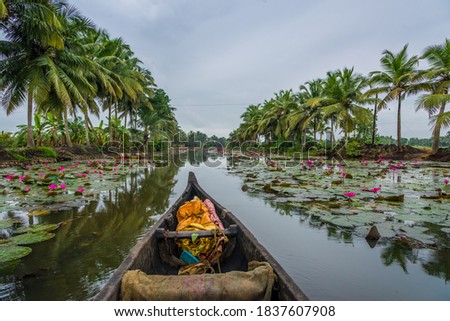 A canoe at the backwaters of kerala, india Royalty-Free Stock Photo #1837607908