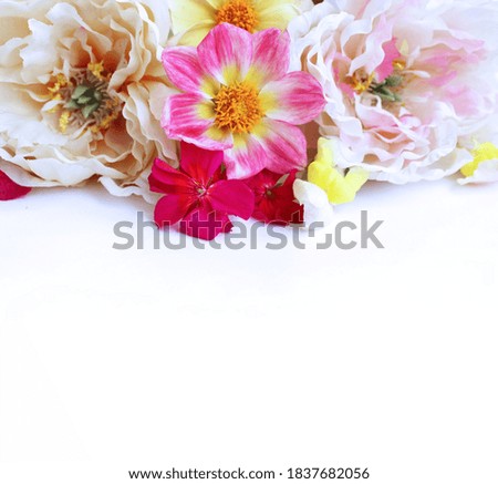 Elegant festive bouquet of light pink peonies and pink dahlias on a white background. Background for greeting cards and invitations.