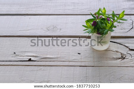 Empty wooden office desk, outdoor table background, copy space, template. COVID 19 home office concept,
