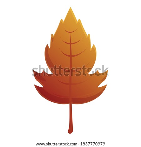Viburnum autumn leaf icon. Cartoon of viburnum autumn leaf vector icon for web design isolated on white background
