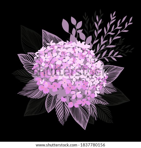 The hydrangea is pink. Vector illustration
