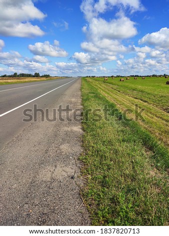 Road, green field with flowers and blue sky. Landscape with field and sky road.

