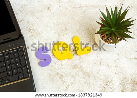 Structured Query Language. Word sql, laptop and succulent on light background. Flat lay, top view.