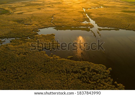 Aerial drone view - Autumn sunset in Comana Nature Park in Romania next to Bucharest - amazing lakes with birds and plants like a delta