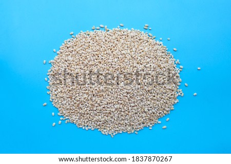 Top view of Raw peeled barley grains on blue background.