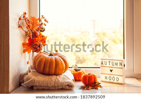 Autumn mood. Cozy autumn still life on the windowsill with lightbox and pumpkin, persimmon, warm wool sweaters, maple leaves.