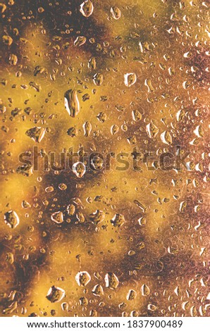 Drops of autumn on the window against the background of the forest