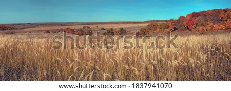 Panoramic landscape of central Russia agricultural countryside with hills. Autumn landscape of the Samara valleys. Vintage color tone. High resolution file for large format printing.