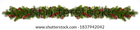 Winter and Christmas fir berries and cones composition isolated on white background with copy space