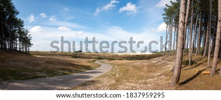 Dunes area called the 'schoorlse duinen' in the dune area of the province of North Holland, the Netherlands Royalty-Free Stock Photo #1837959295