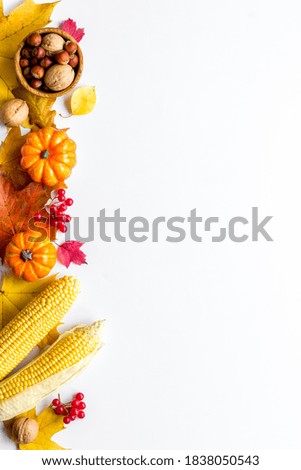 Autumn top view background with pumpkins corn and nuts