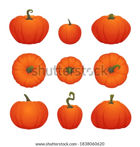 Set of ripe orange pumpkins of various shapes isolated on a white background. Vector illustration. Halloween or Thanksgiving icon, decoration.