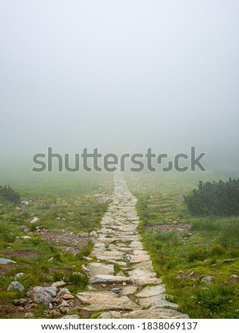 long path in the fog