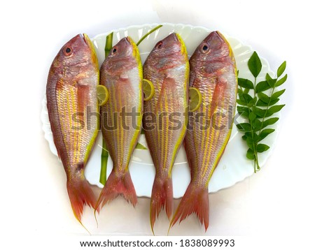 Top view of fresh and ready-to-cook raw pink Perch fish with ingredients like lemon, curry leaves, chilli, selective focus.