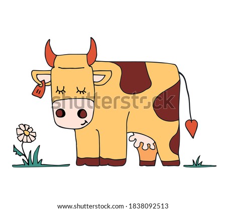 Cute cow is dreaming on meadow with chamomile. Color vector illustration for kids. Stylized animal