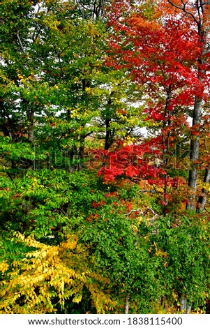 New England rich fall colors