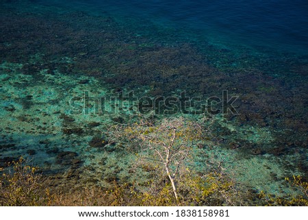 House reef on the Komodo Islands, Indonesia