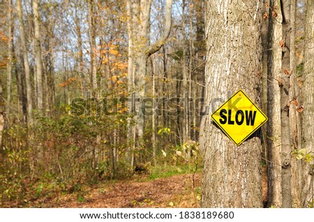 A yellow slow warning sign attached to a tree trunk in a forest