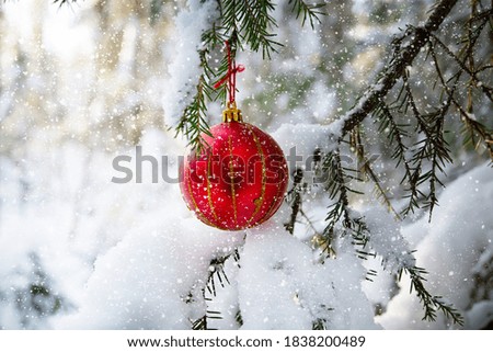 Christmas red ball on a Christmas tree covered with snow, falling snow background. concept meeting new year and christmas. copy space.
