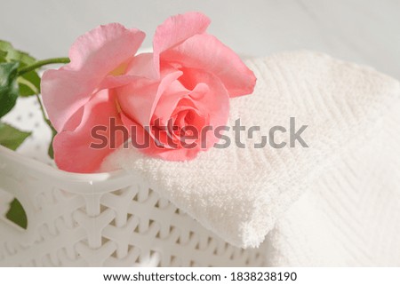 White cotton towels and fresh pink rose close up.