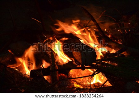 camp fire woods trees on fire nature night sky stars dark cold cool hot