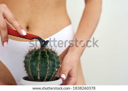 The girl shaves a large cactus with a razor in the groin area. The concept of intimate hygiene, epilation and depilation, deep bikini shaving